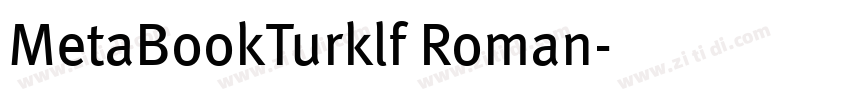 MetaBookTurklf Roman字体转换 MetaBookTurklf Roman字体转换